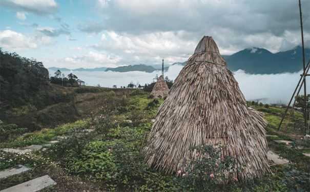 风水种生基原理，如何种生基