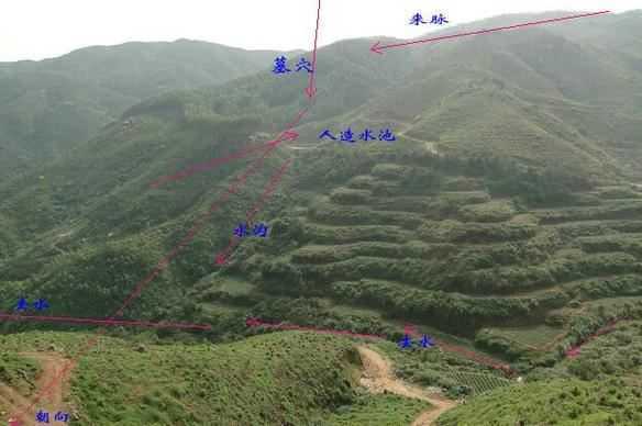 财运生基怎么种？7个步骤分享给你