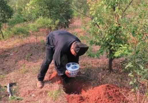 种生基副作用是什么？种生基早死吗？