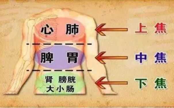 养生与五脏六腑息息相关 三种调养秘诀让你的肺瞬间年轻起来